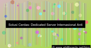 gambar dedicated server internasional anti ddos