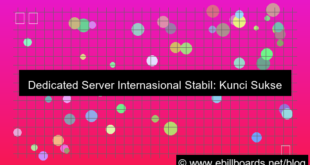 dedicated server internasional stabil