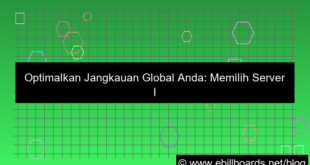 server internasional audience global