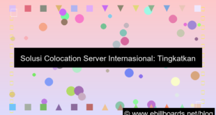 visual server internasional colocation