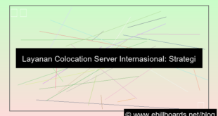 server internasional colocation service