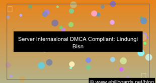 server internasional dmca compliant