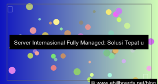 ilustrasi server internasional fully managed