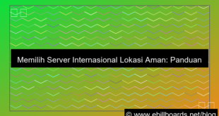 visual server internasional lokasi aman