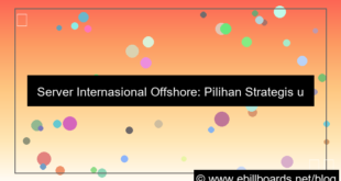 server internasional offshore