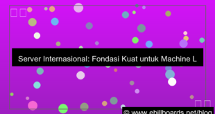 visual server internasional untuk machine learning global
