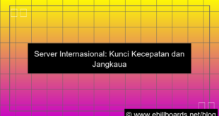 server internasional untuk website