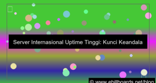 ilustrasi server internasional uptime tinggi