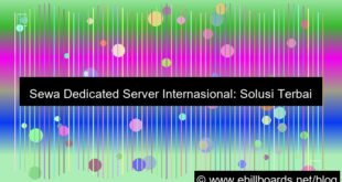 visual sewa dedicated server internasional