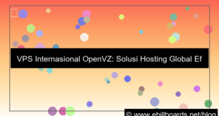 gambar vps internasional openvz